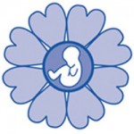 spring_logo_250